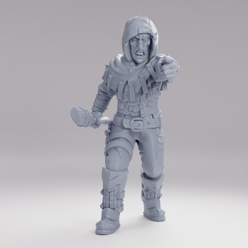 Picture of Hooded Bandit Pointings