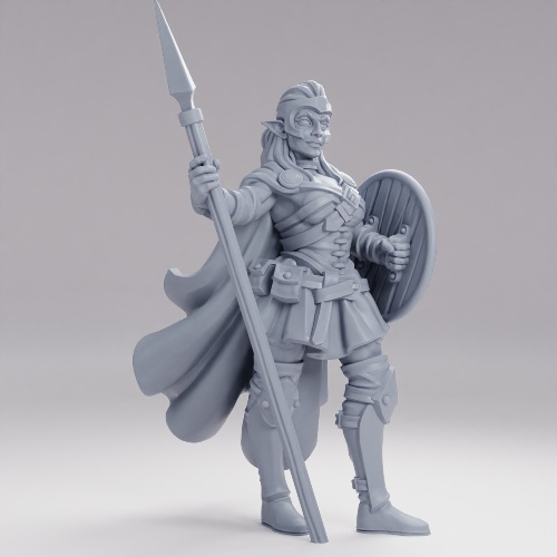 エルフの前衛チャンピオン の画像