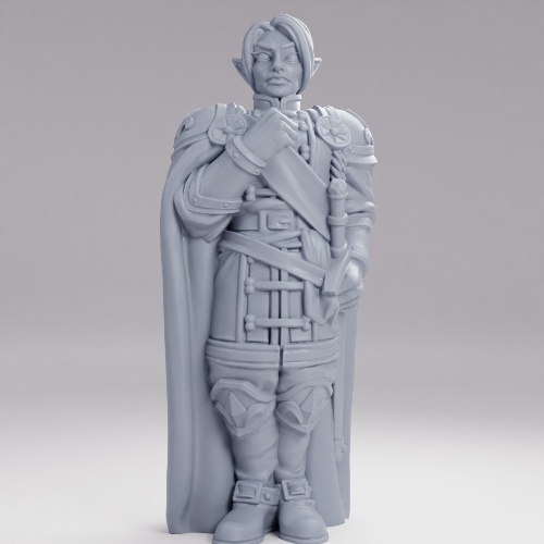 Picture of Elf General