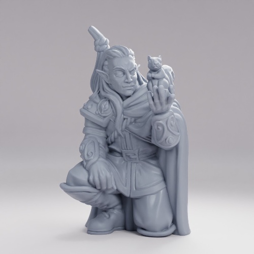 Picture of Elf Ranger With Pet