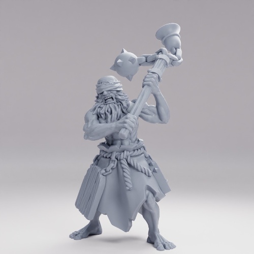 Picture of Fanatic Pose C