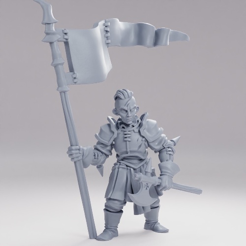Picture of Mercenary Flag Bearer