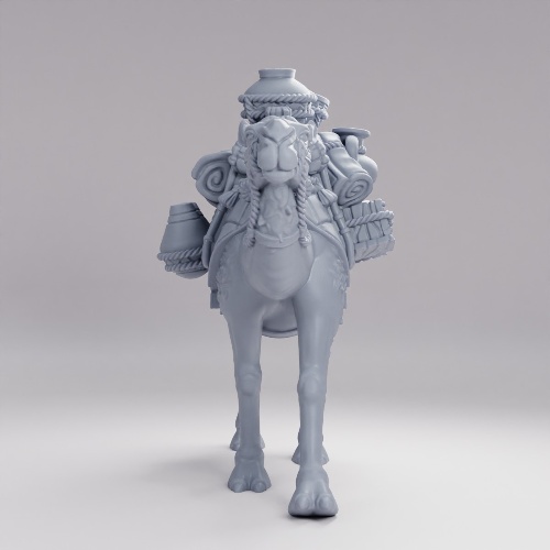 Picture of Pack Camel B