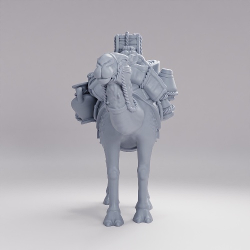 Picture of Pack Camel C