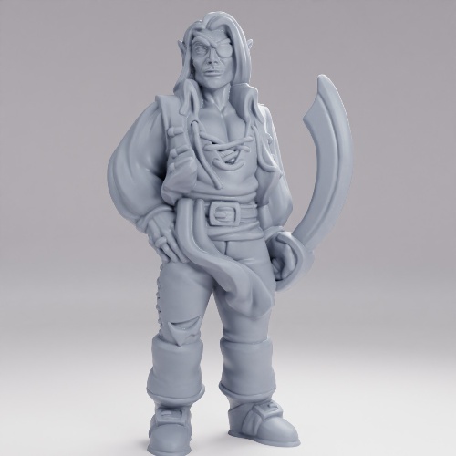Picture of Pirate Elf