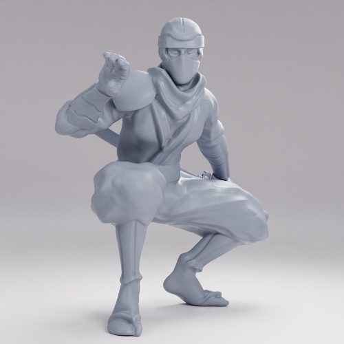 Picture of Ninja B