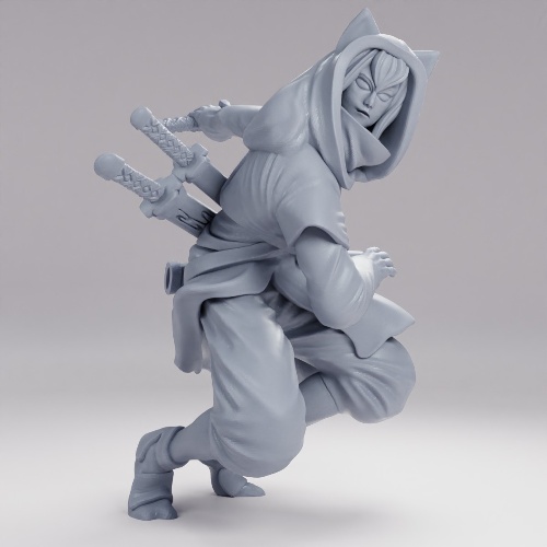 Picture of Ninja Wolf Boy