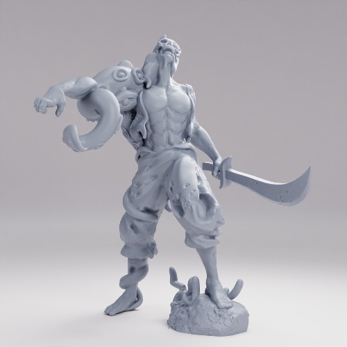 Picture of Octopus Pirate A